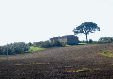 i casali dei Camilli e dei Foscoli